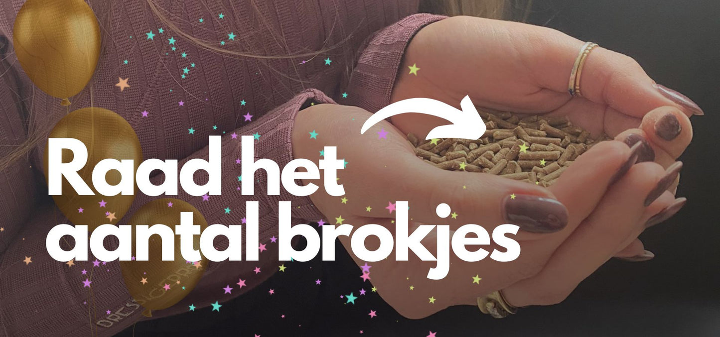 Verjaardagsspel DAG #4