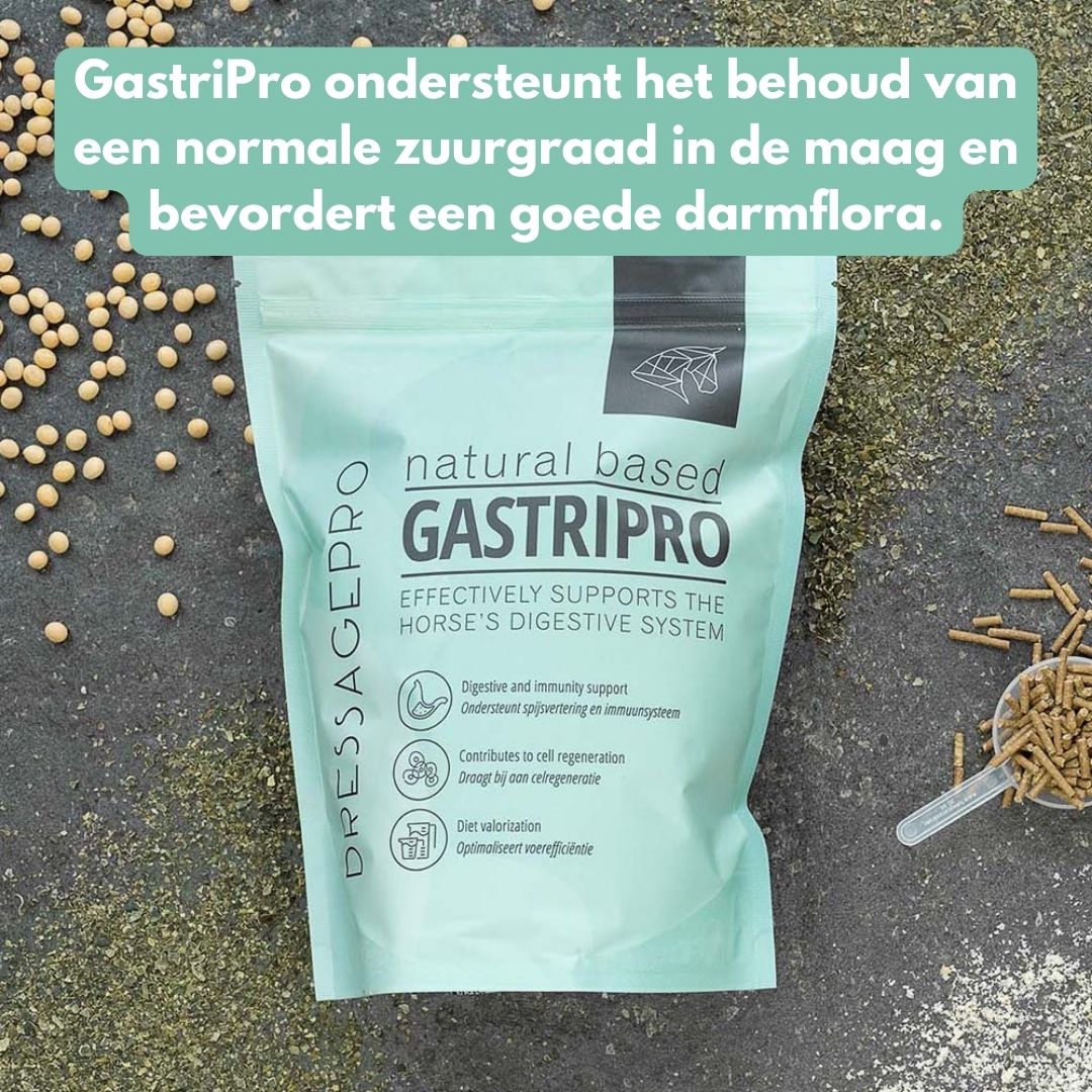 GastriPro | Voor een gezonde spijsvertering en betere opname
