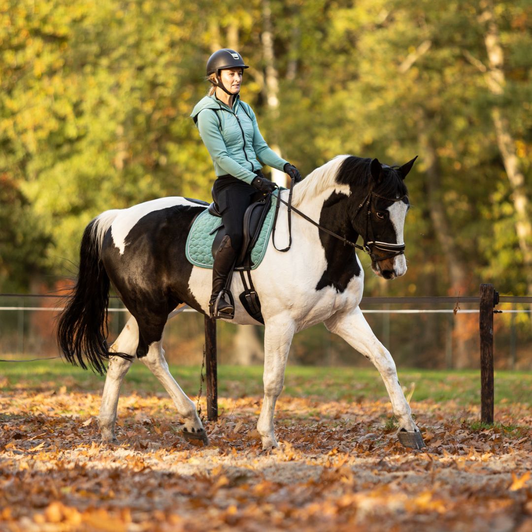 Training Jacket 1.0 - Dark Mint
