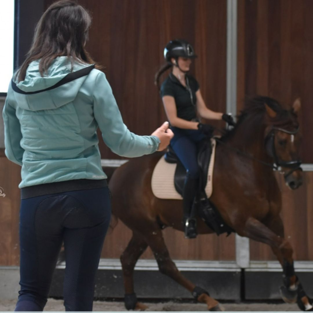 Training Jacket 1.0 - Dark Mint