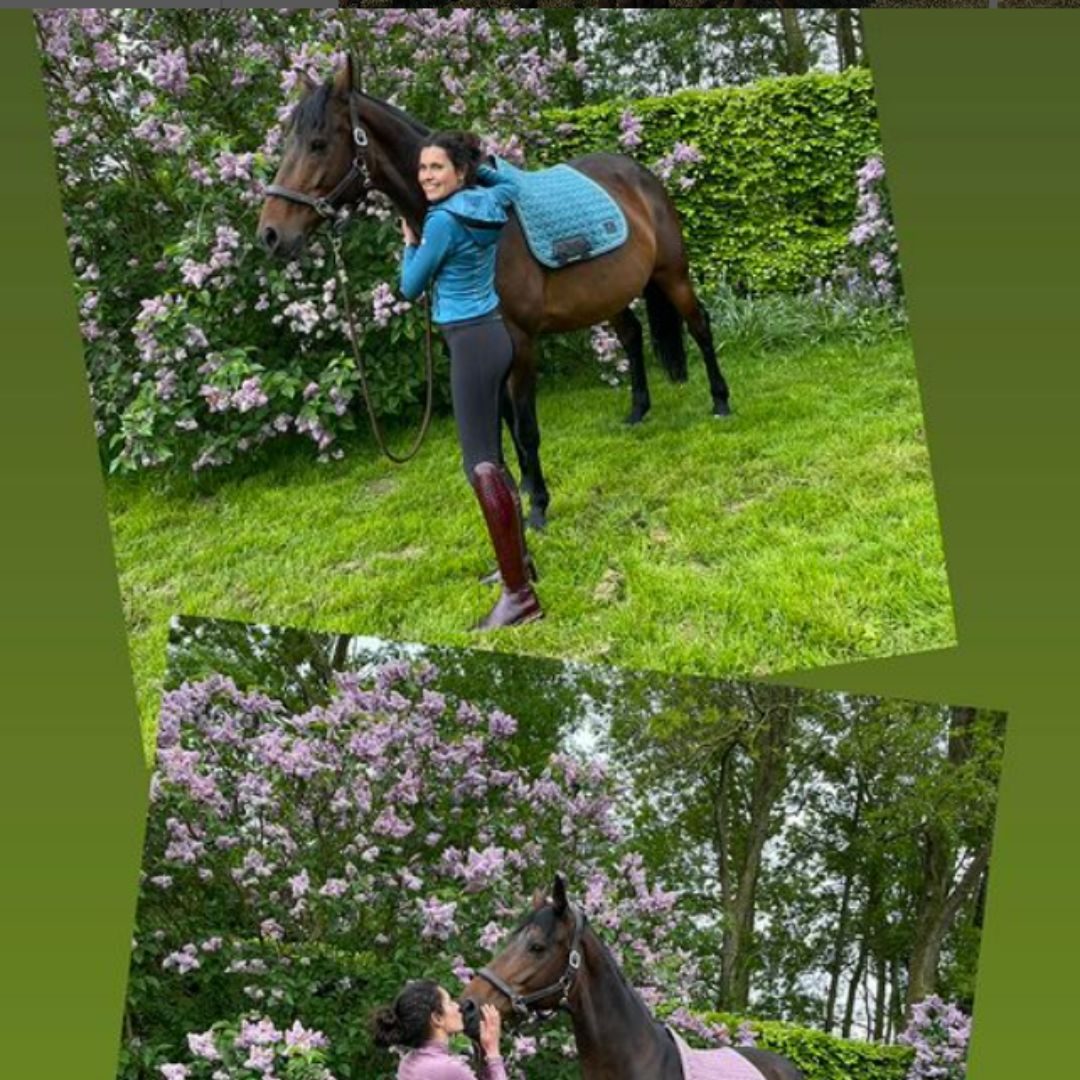 Training Jacket 1.0 - Petrol