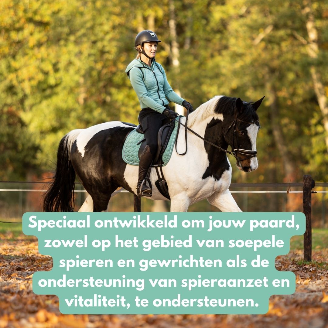 Senioren Bundel: MotionPro + GastriPro