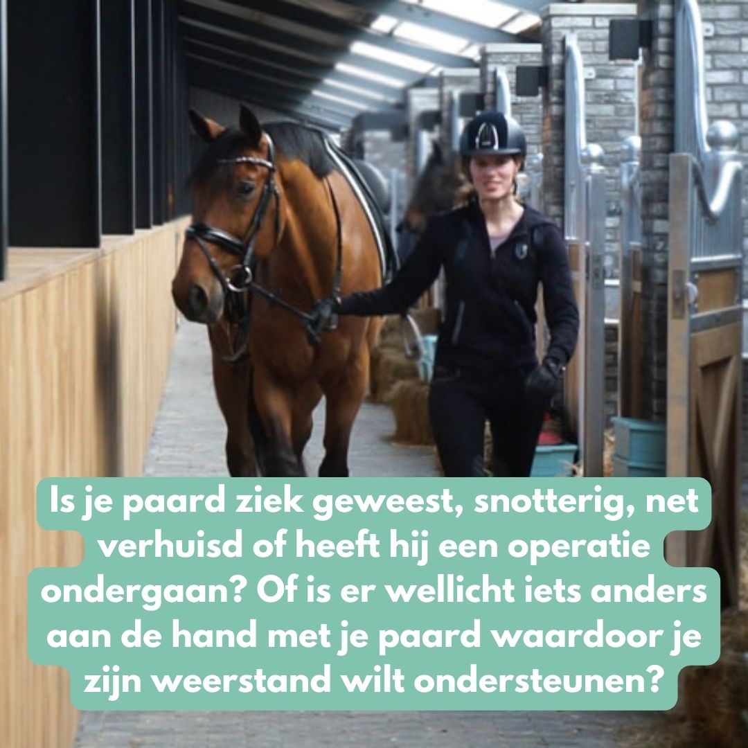 Weerstand Bundel: ImmuPro + GastriPro + DetoxPro