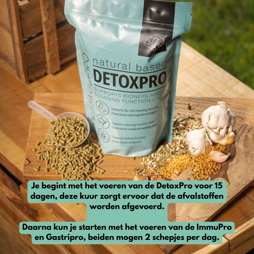 Weerstand Bundel: ImmuPro + GastriPro + DetoxPro
