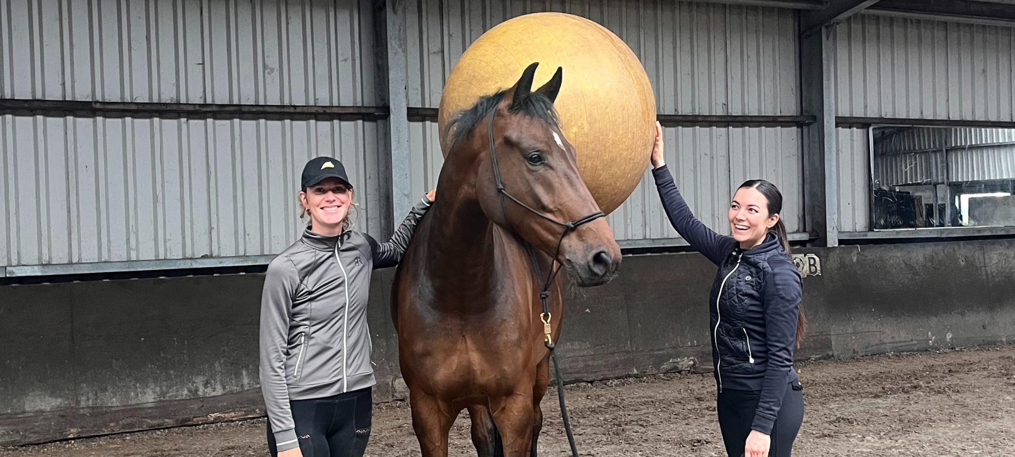 Image Title Alt Image