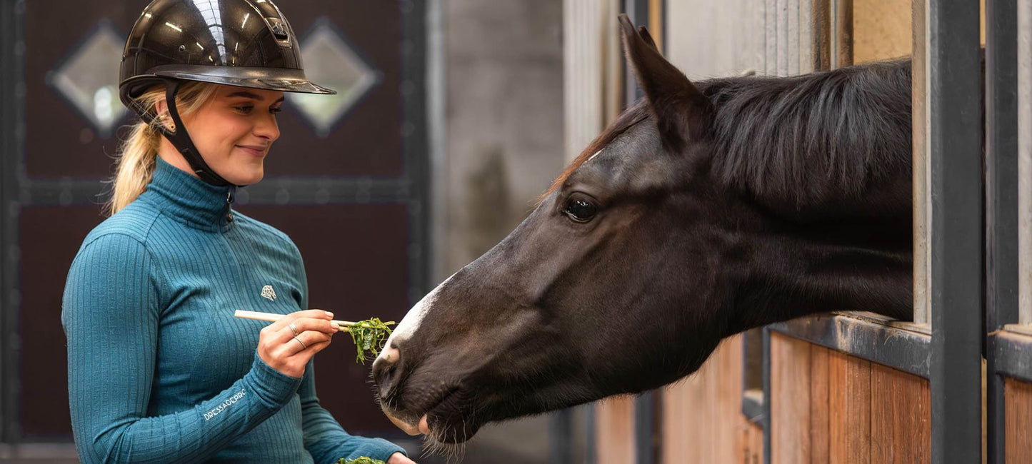 DressagePro Collection