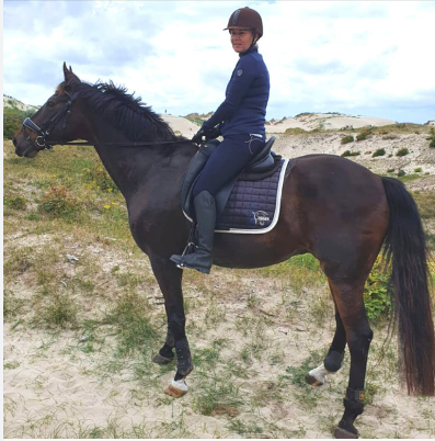 DressagePro Collection
