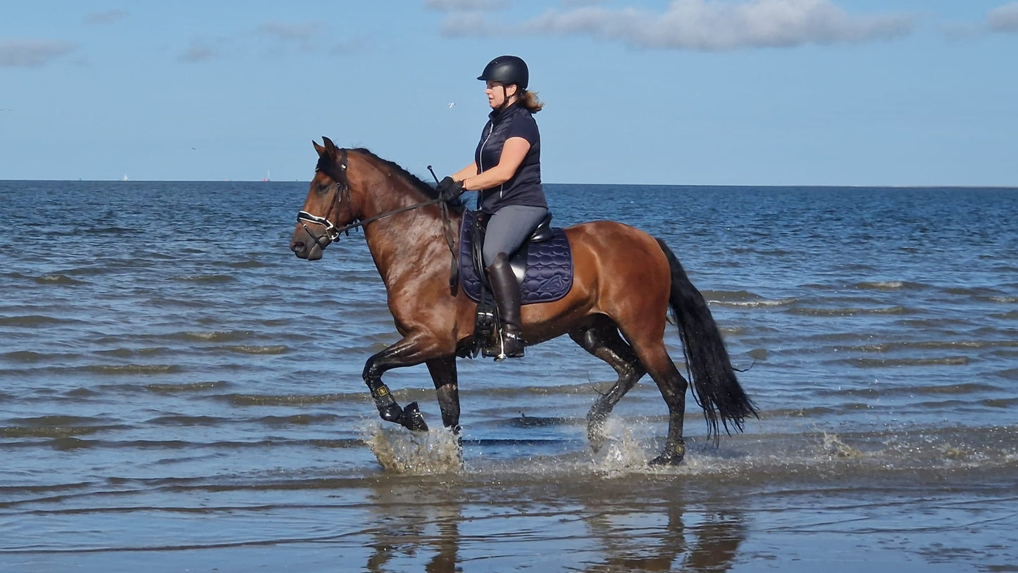 DressagePro Collection