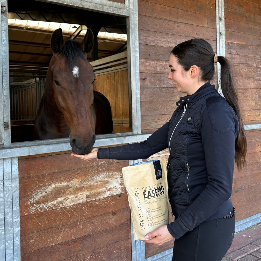 DressagePro Collection