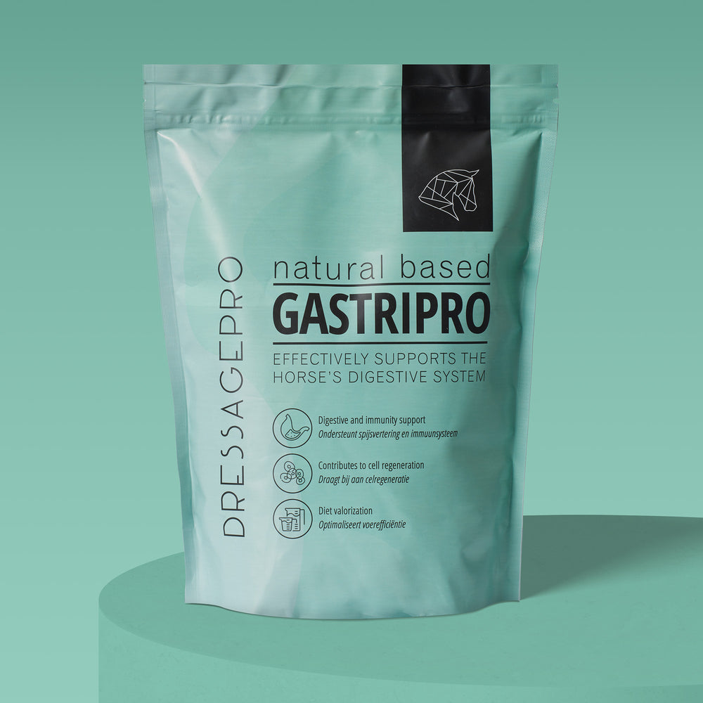 
                  
                    GastriPro
                  
                