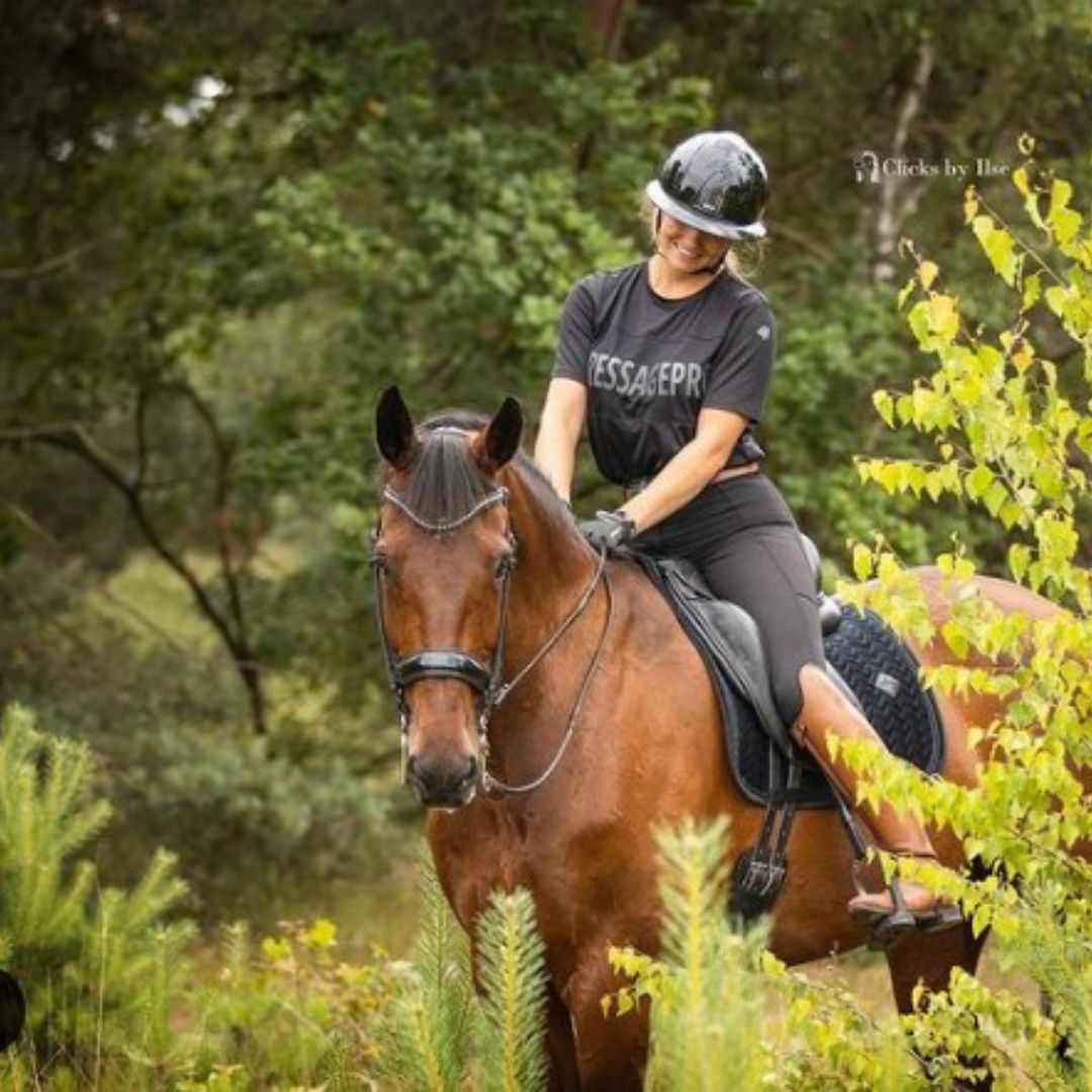DressagePro Collection
