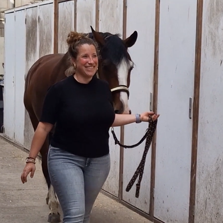 DressagePro Collection