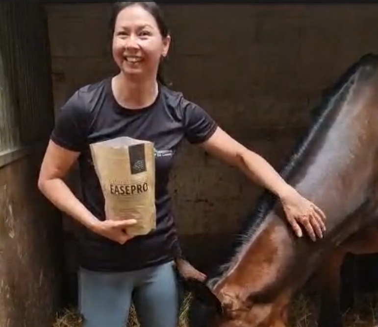 DressagePro Collection