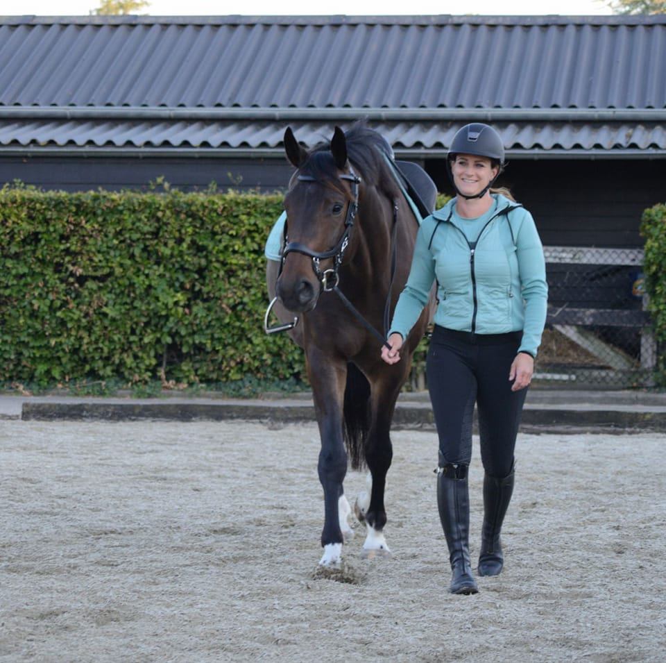 DressagePro Collection