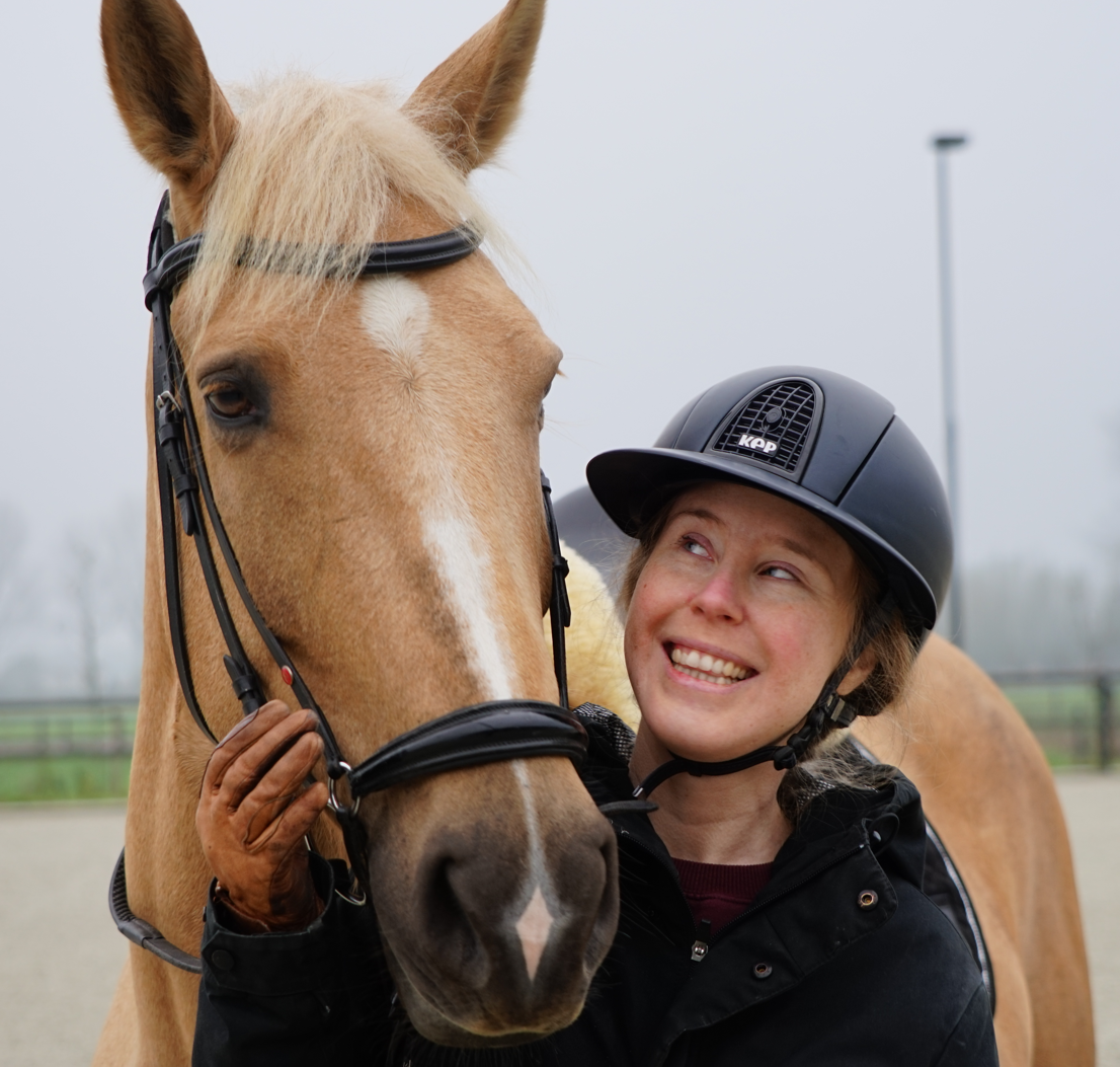 DressagePro Collection
