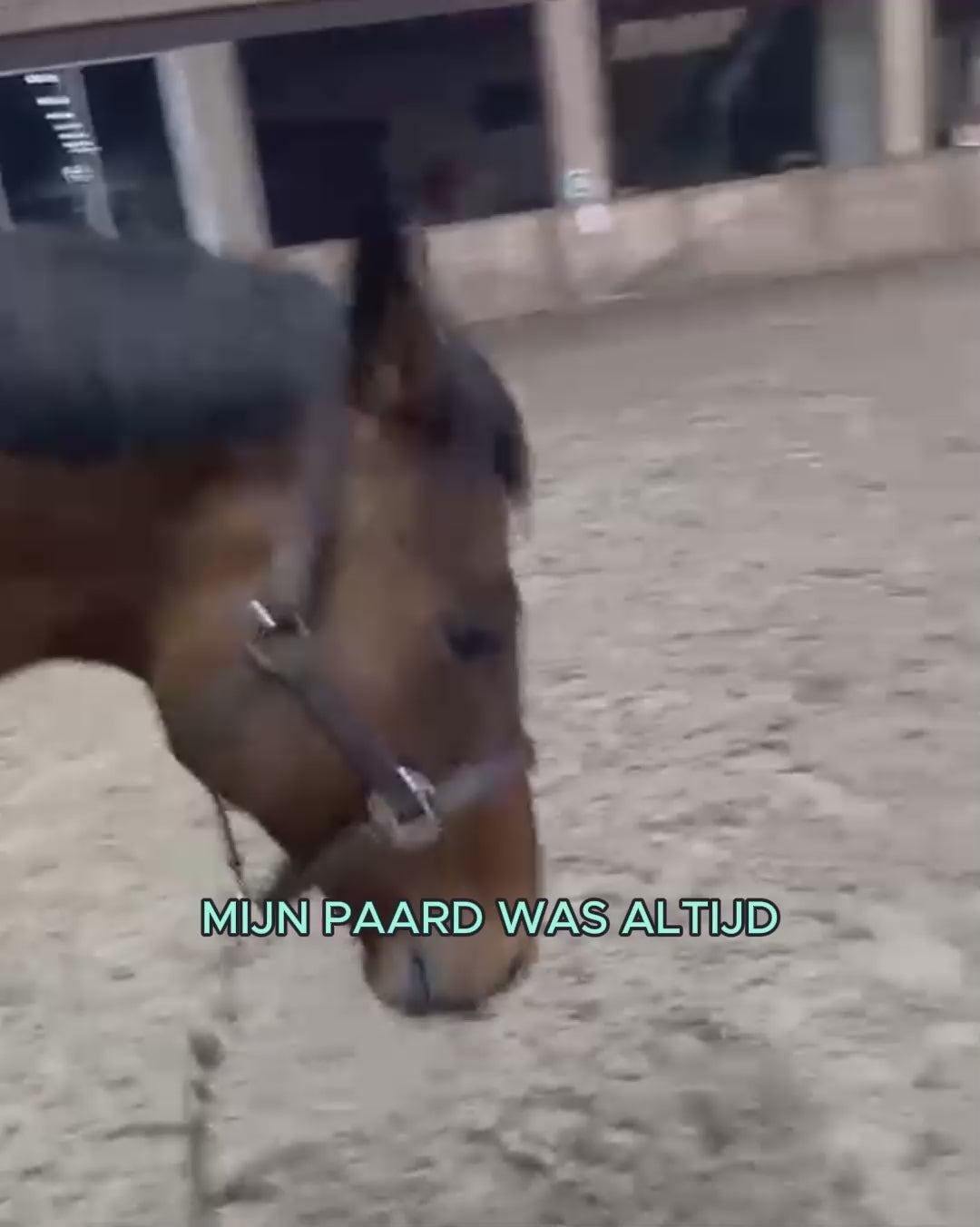 Load and play video in Gallery viewer, *NEW* Released Bundle: EasePro + MotionPro
