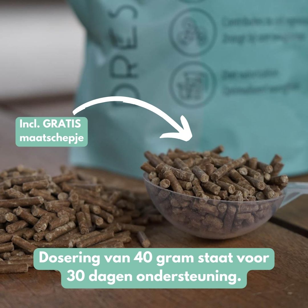 GastriPro | Voor gezonde maag en darmen