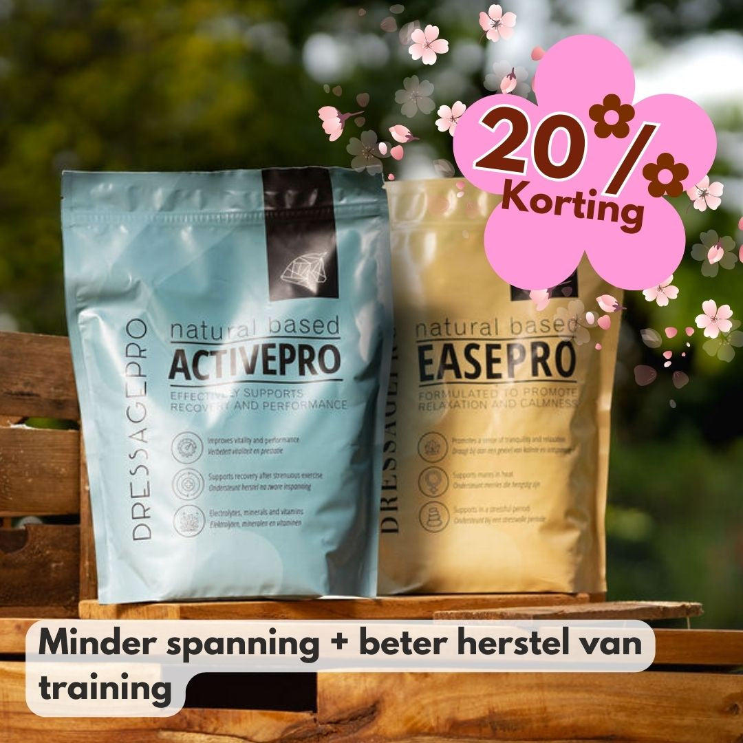 Relax & Rebuild Bundel: EasePro + ActivePro