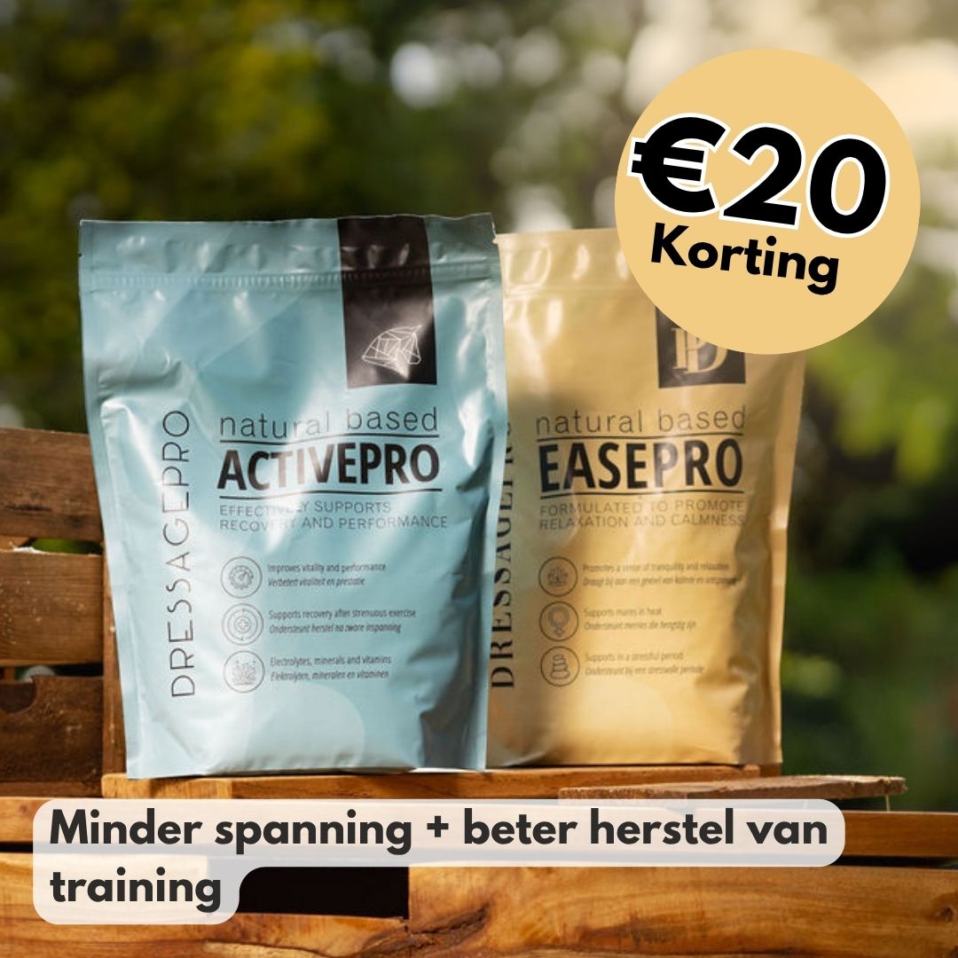 Relax & Rebuild Bundel: EasePro + ActivePro