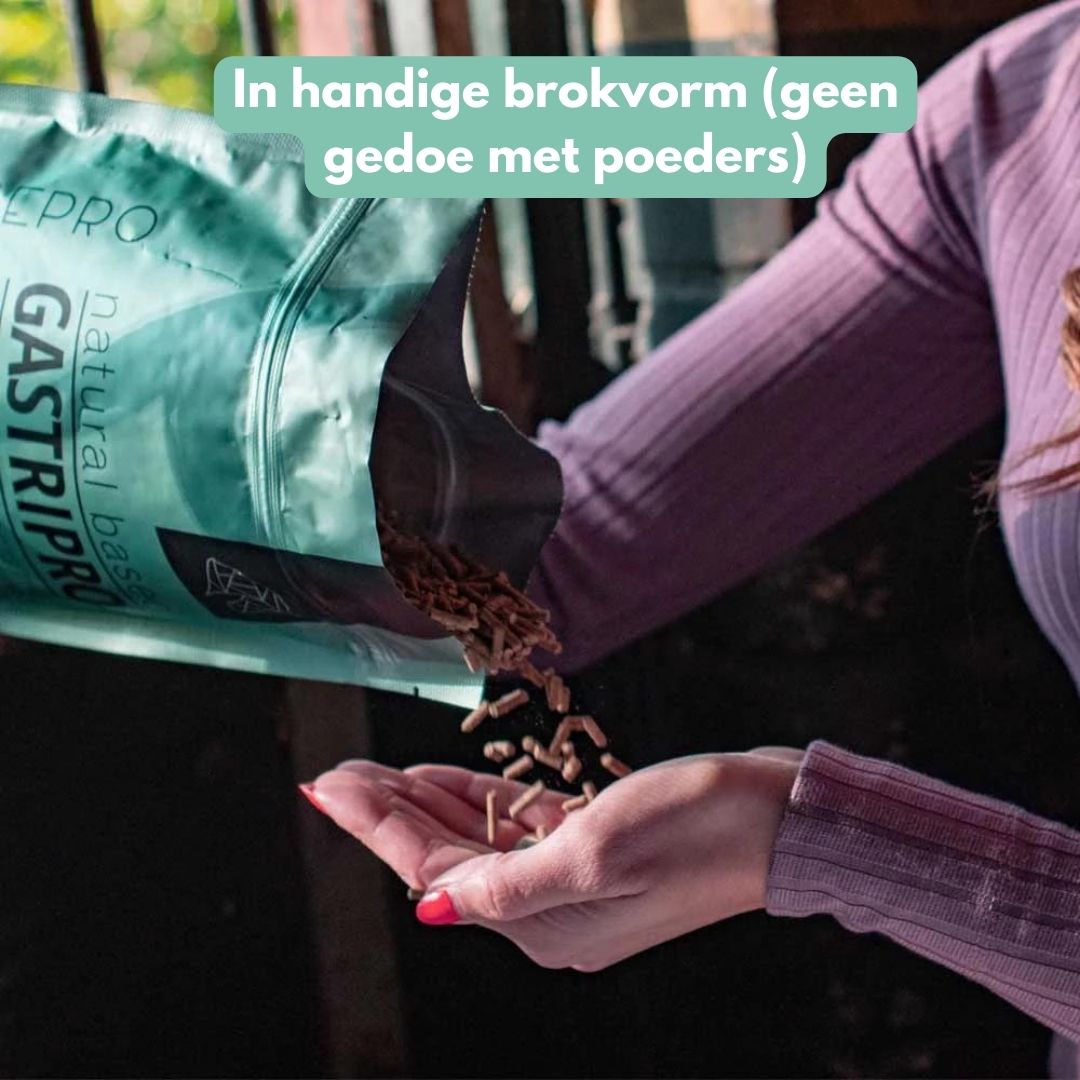 GastriPro | Voor gezonde maag en darmen