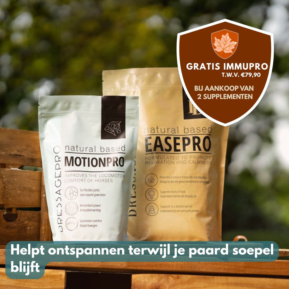 *NEW* Released Bundle: EasePro + MotionPro