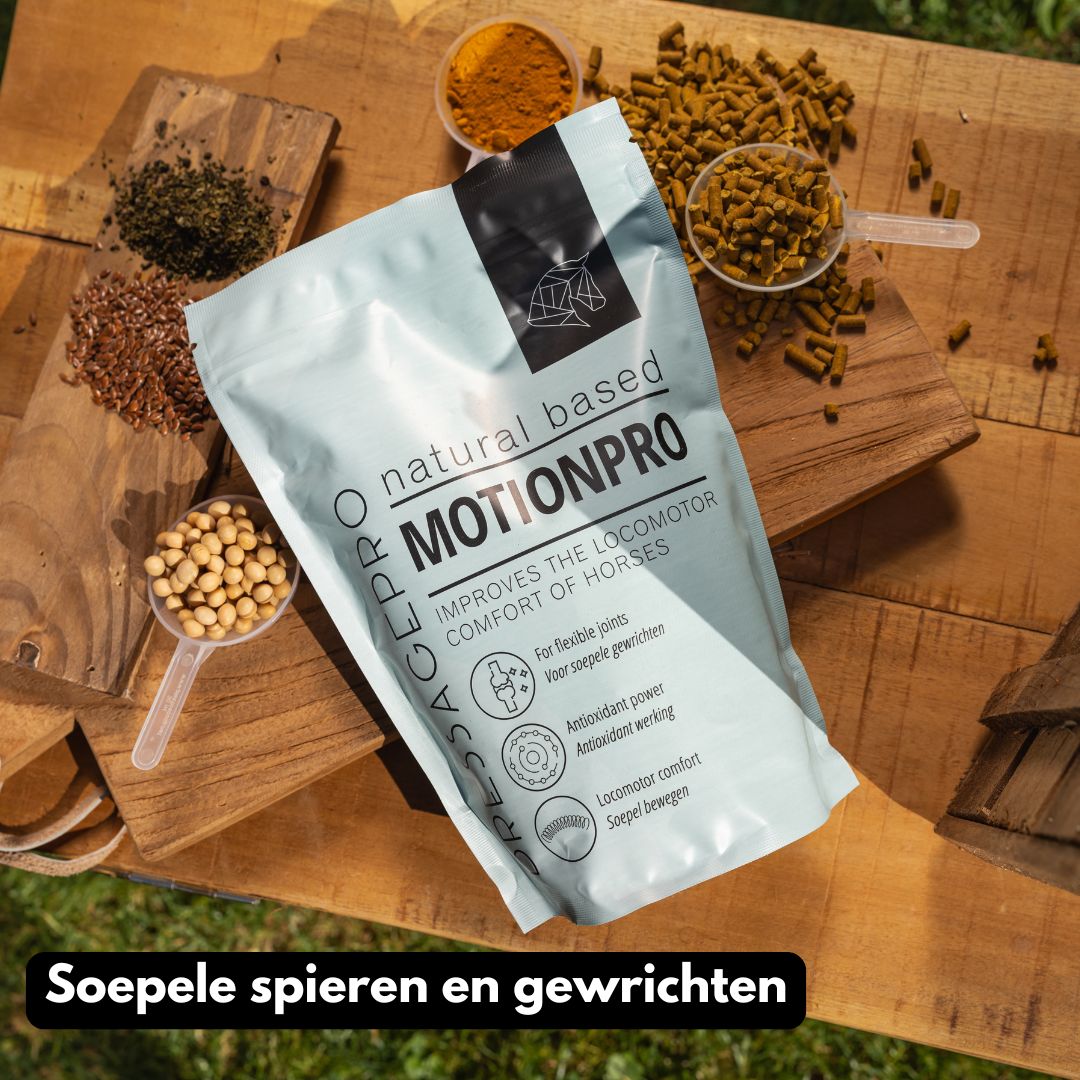 MotionPro DressagePro Collection