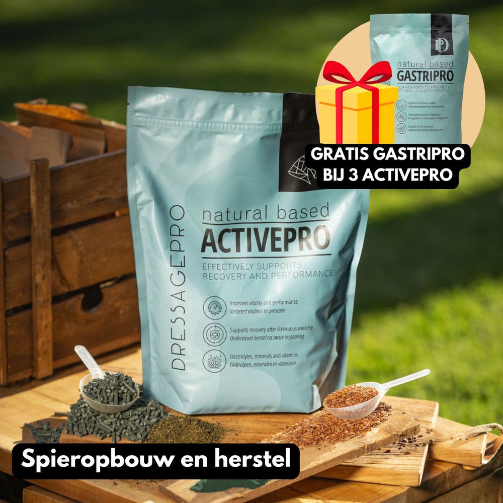 ActivePro