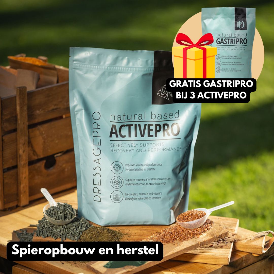 
                  
                    ActivePro
                  
                