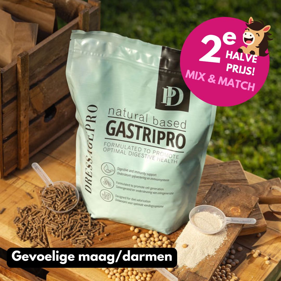 GastriPro
