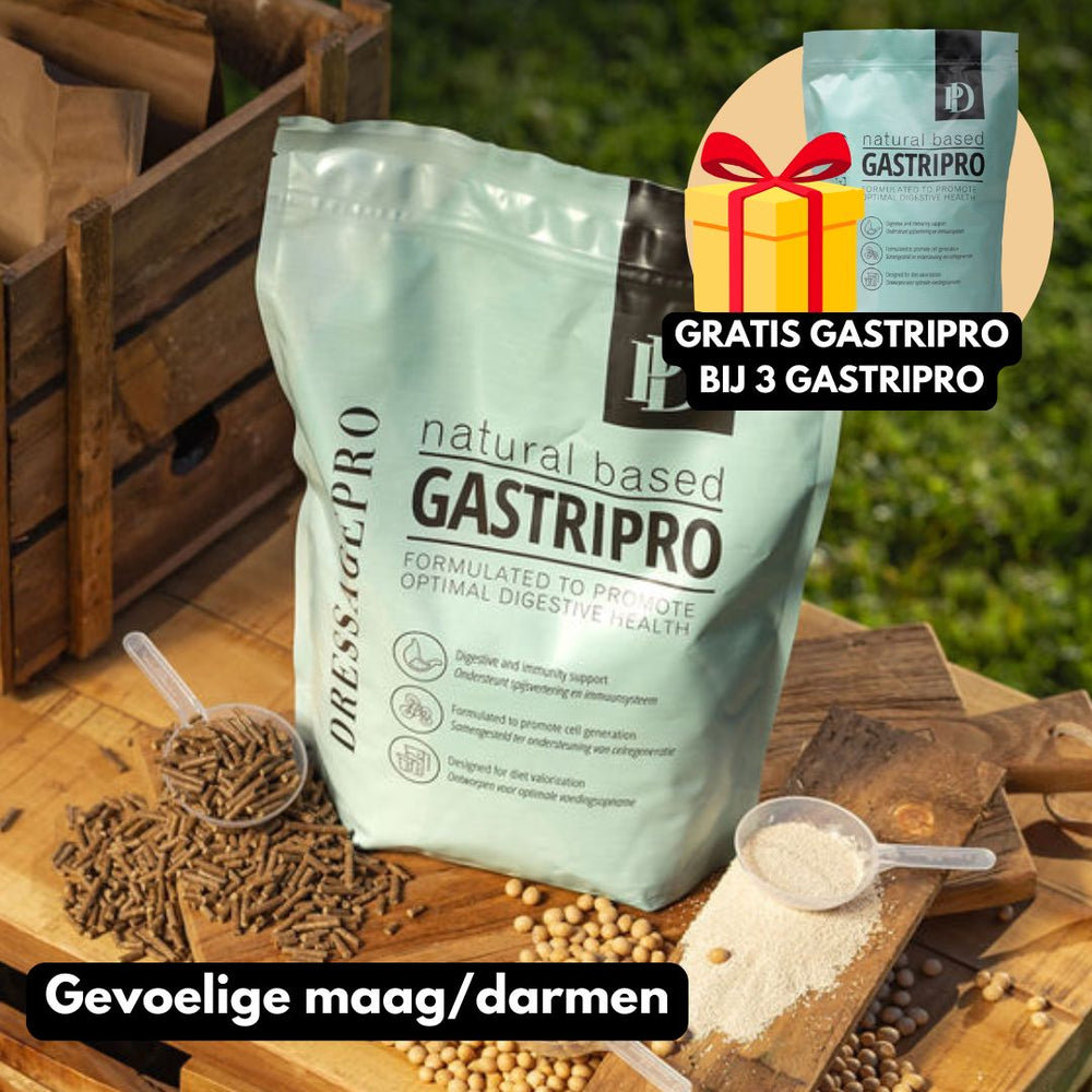 GastriPro