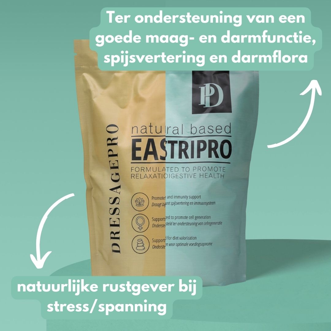 *NEW* Stress Bundle: EasePro + GastriPro