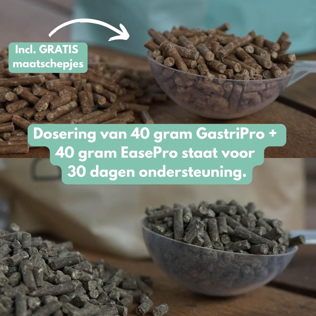 *NEW* Stress Bundle: EasePro + GastriPro