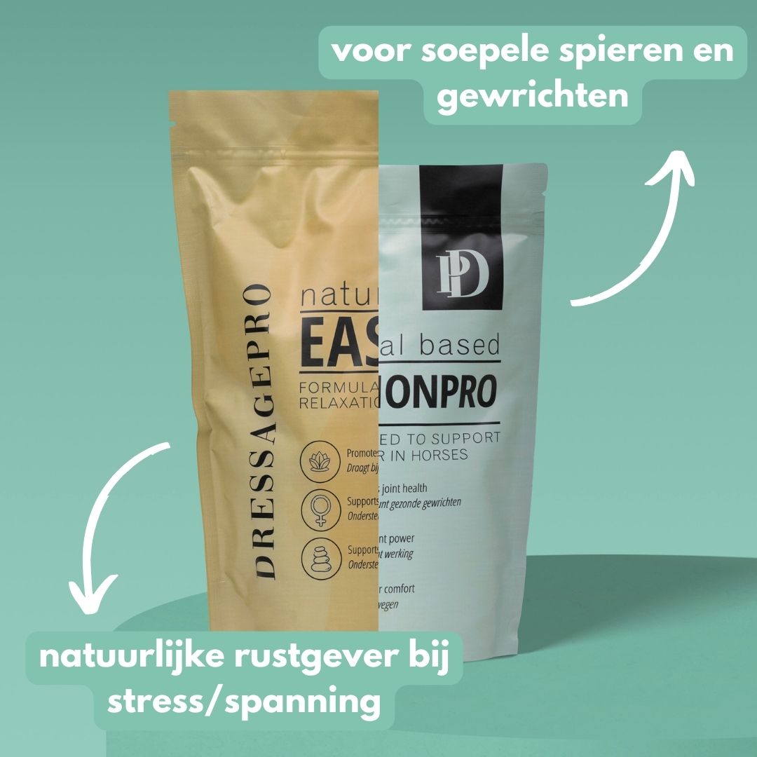 *NEW* Released Bundle: EasePro + MotionPro