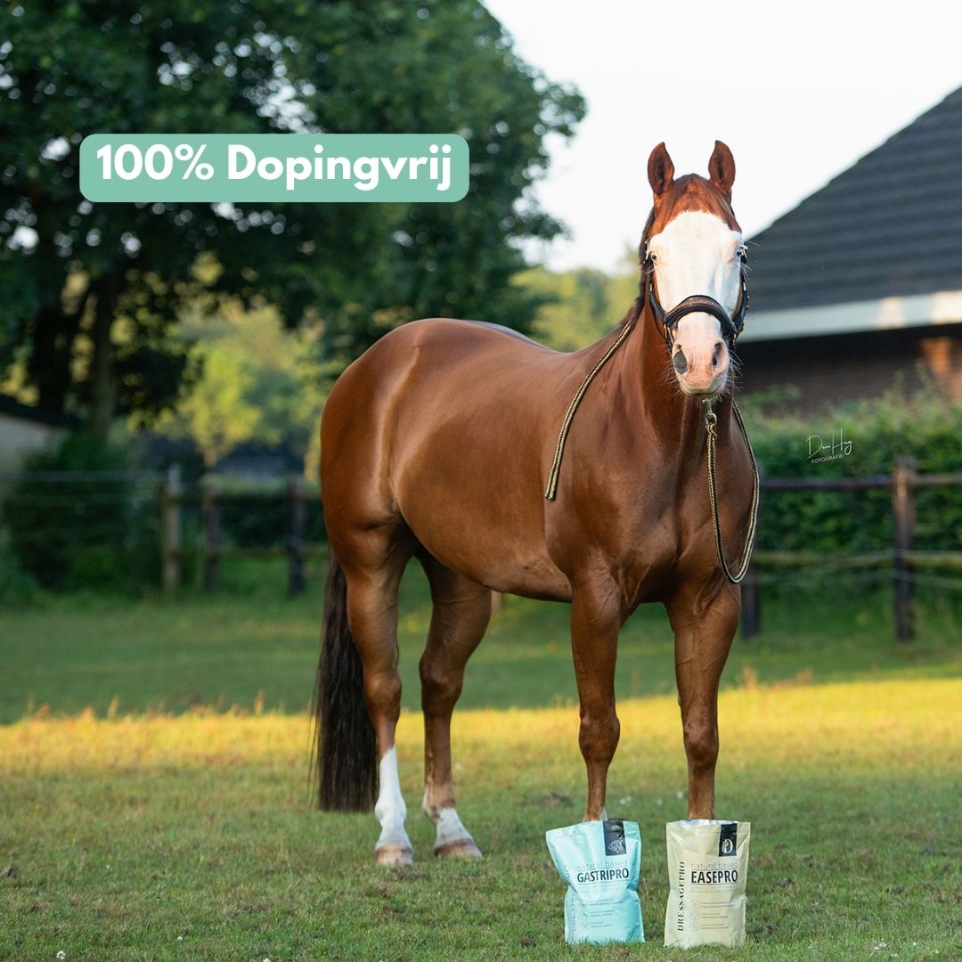 *NEW* Stress Bundle: EasePro + GastriPro