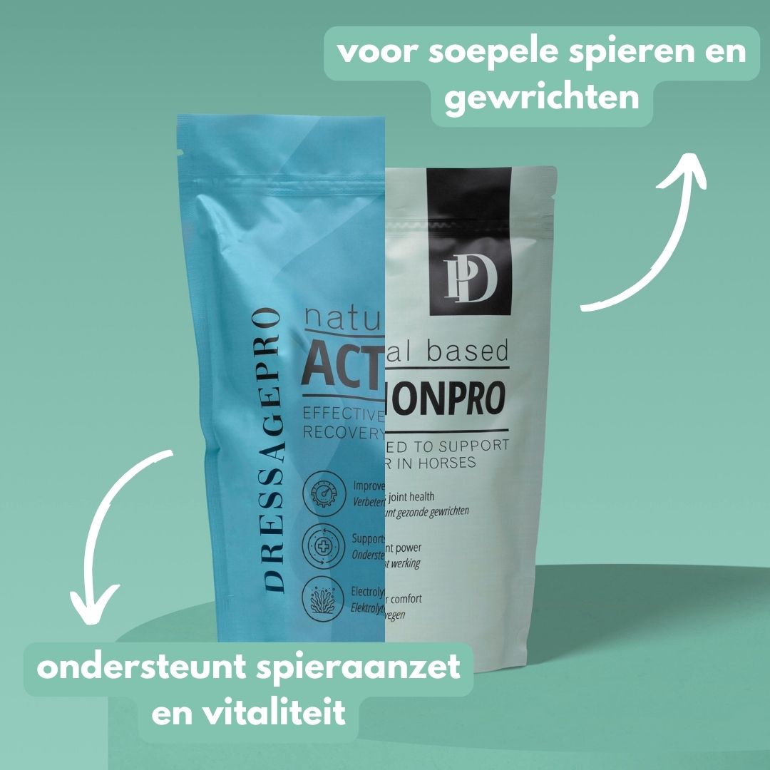 *NEW* Sports Bundle: MotionPro + ActivePro