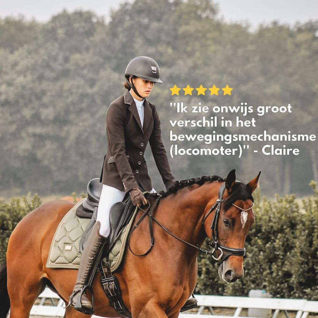 *NEW* Released Bundle: EasePro + MotionPro