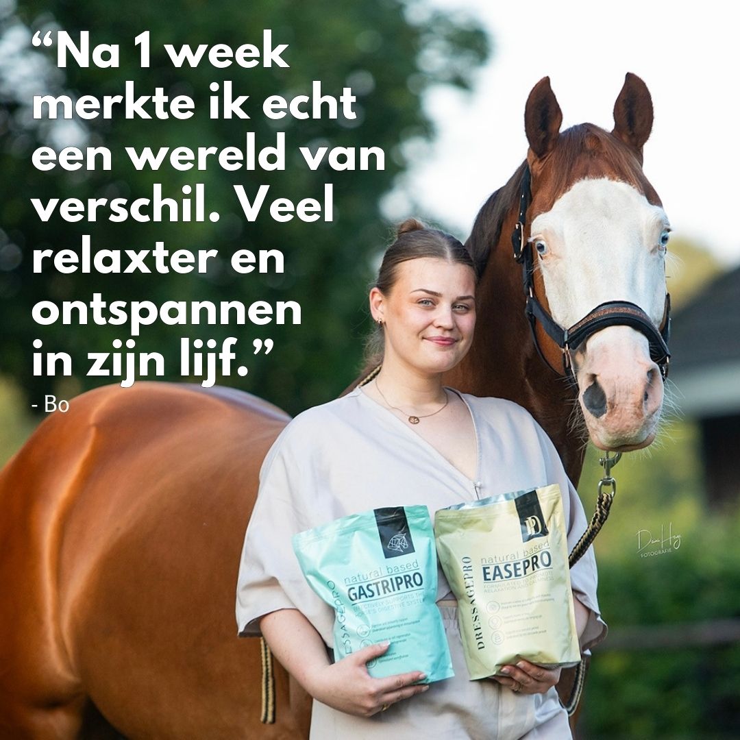 *NEW* Stress Bundle: EasePro + GastriPro