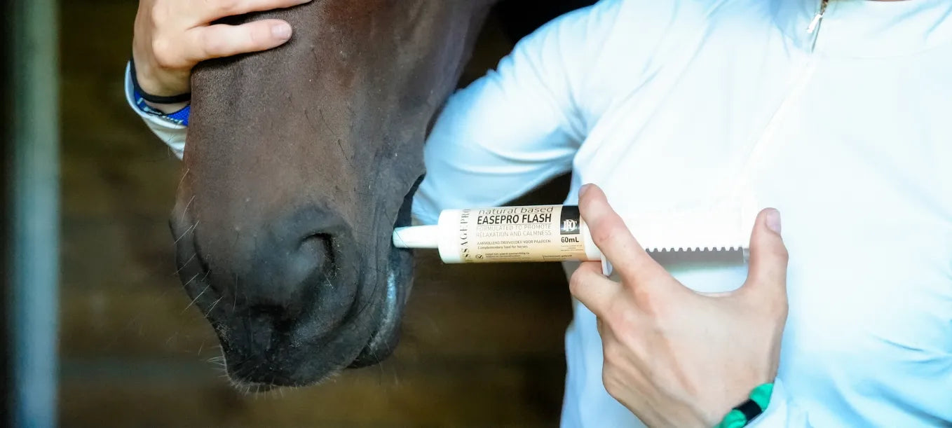 DressagePro Collection