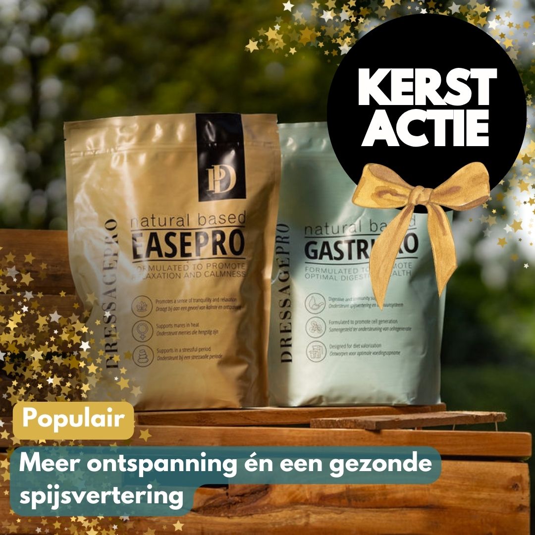 Stress Bundel: EasePro + GastriPro