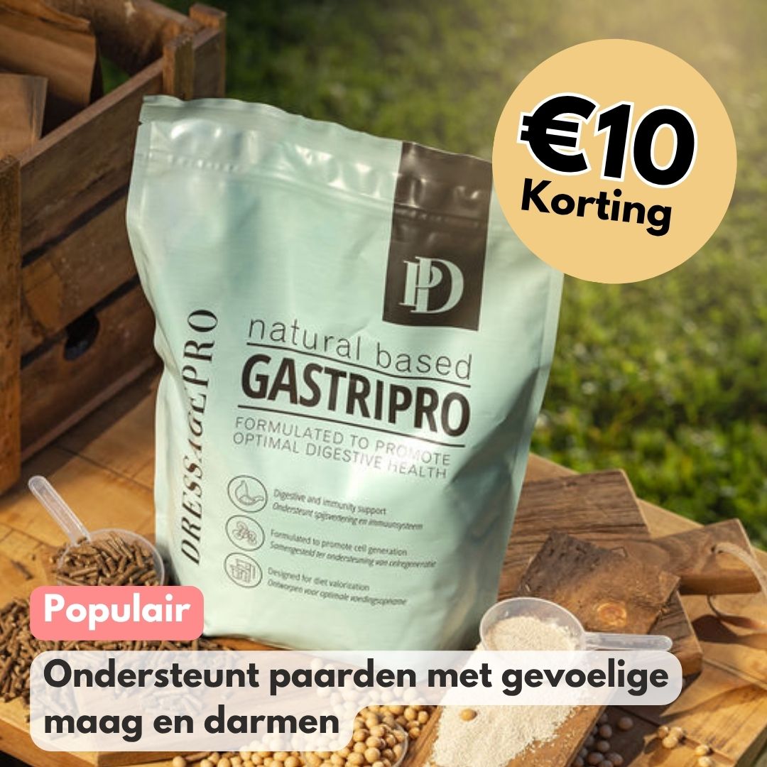 
                  
                    GastriPro
                  
                