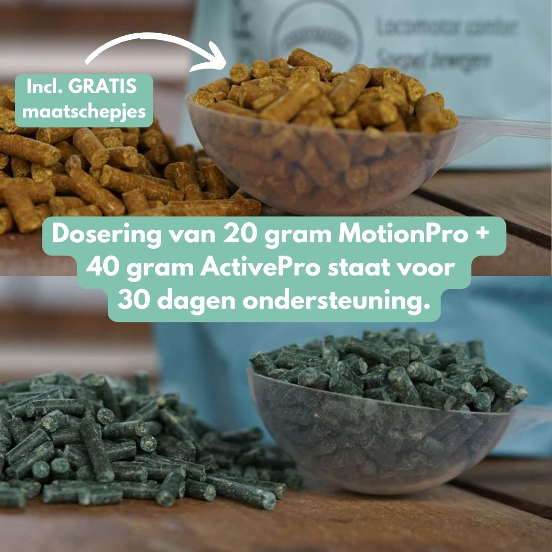 *NEW* Sports Bundle: MotionPro + ActivePro