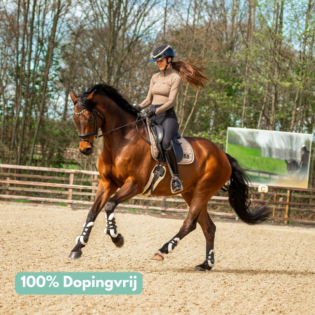 *NEW* Released Bundle: EasePro + MotionPro