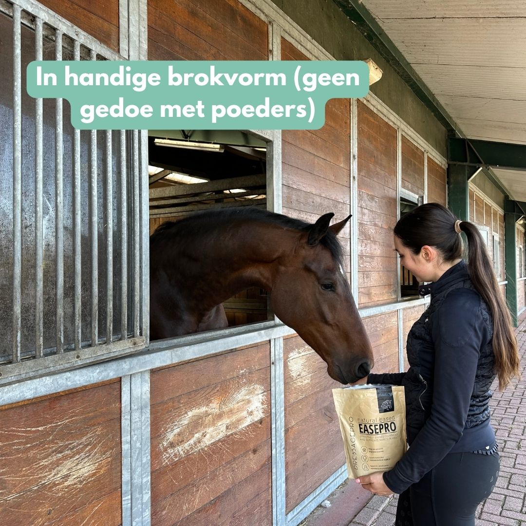 *NEW* Stress Bundle: EasePro + GastriPro