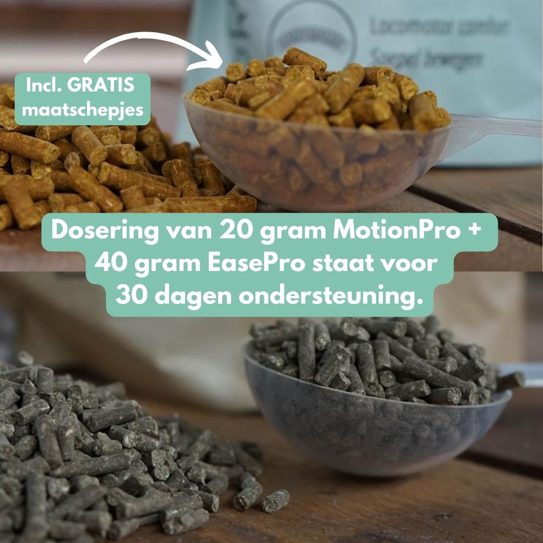 *NEW* Released Bundle: EasePro + MotionPro