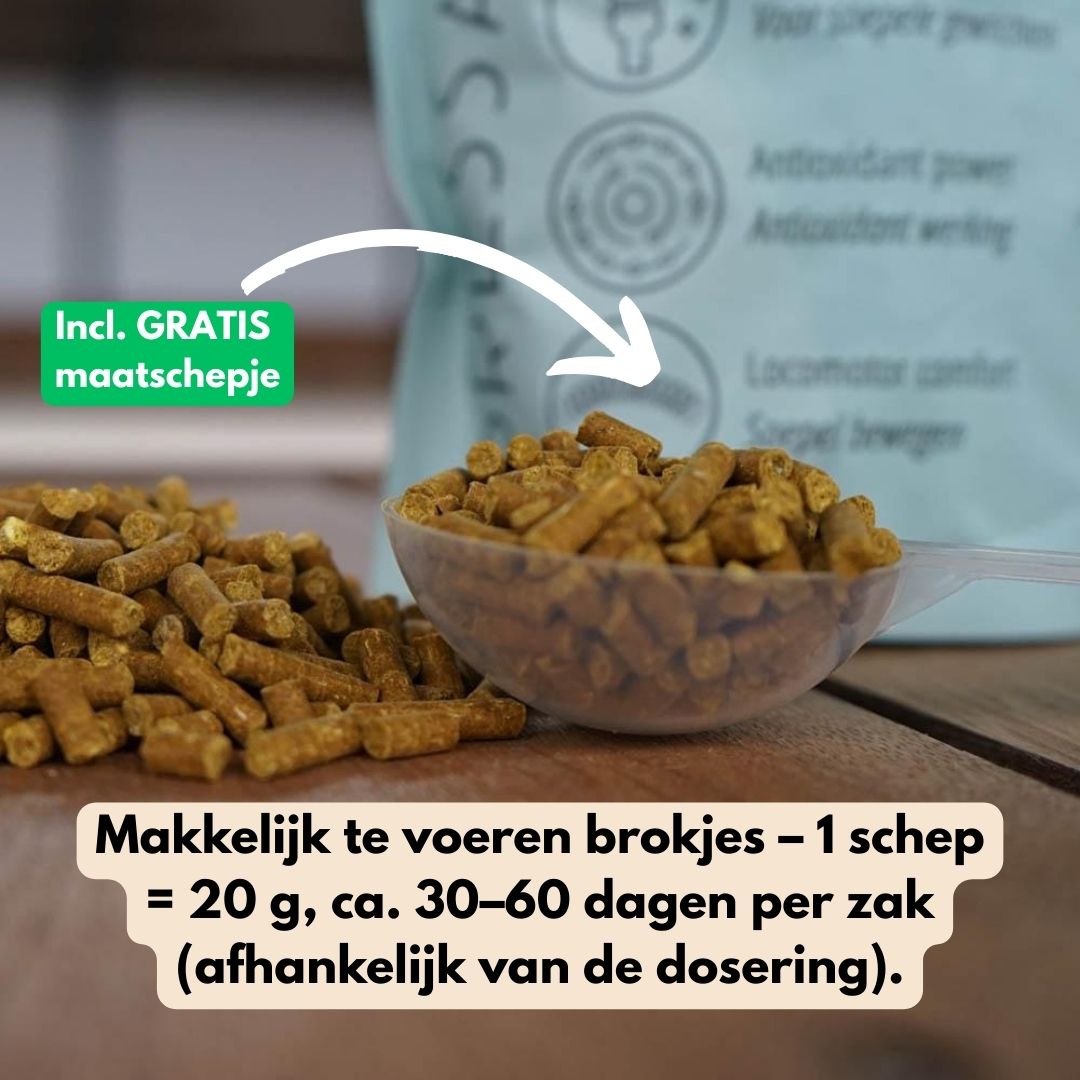 MotionPro | Voor soepele beweging en gezonde gewrichten