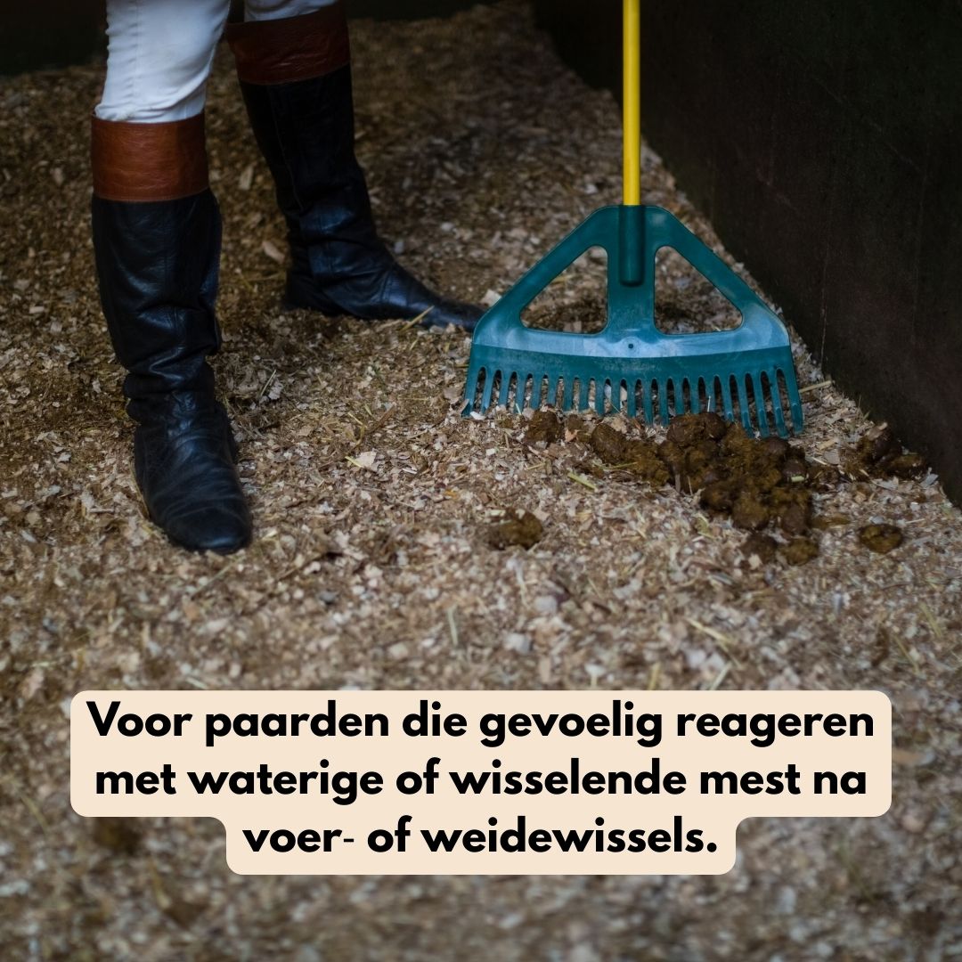 GastriPro | Voor gezonde maag en darmen.