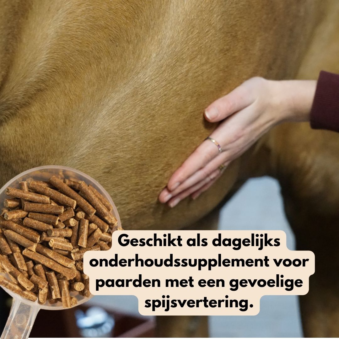 GastriPro | Voor gezonde maag en darmen.