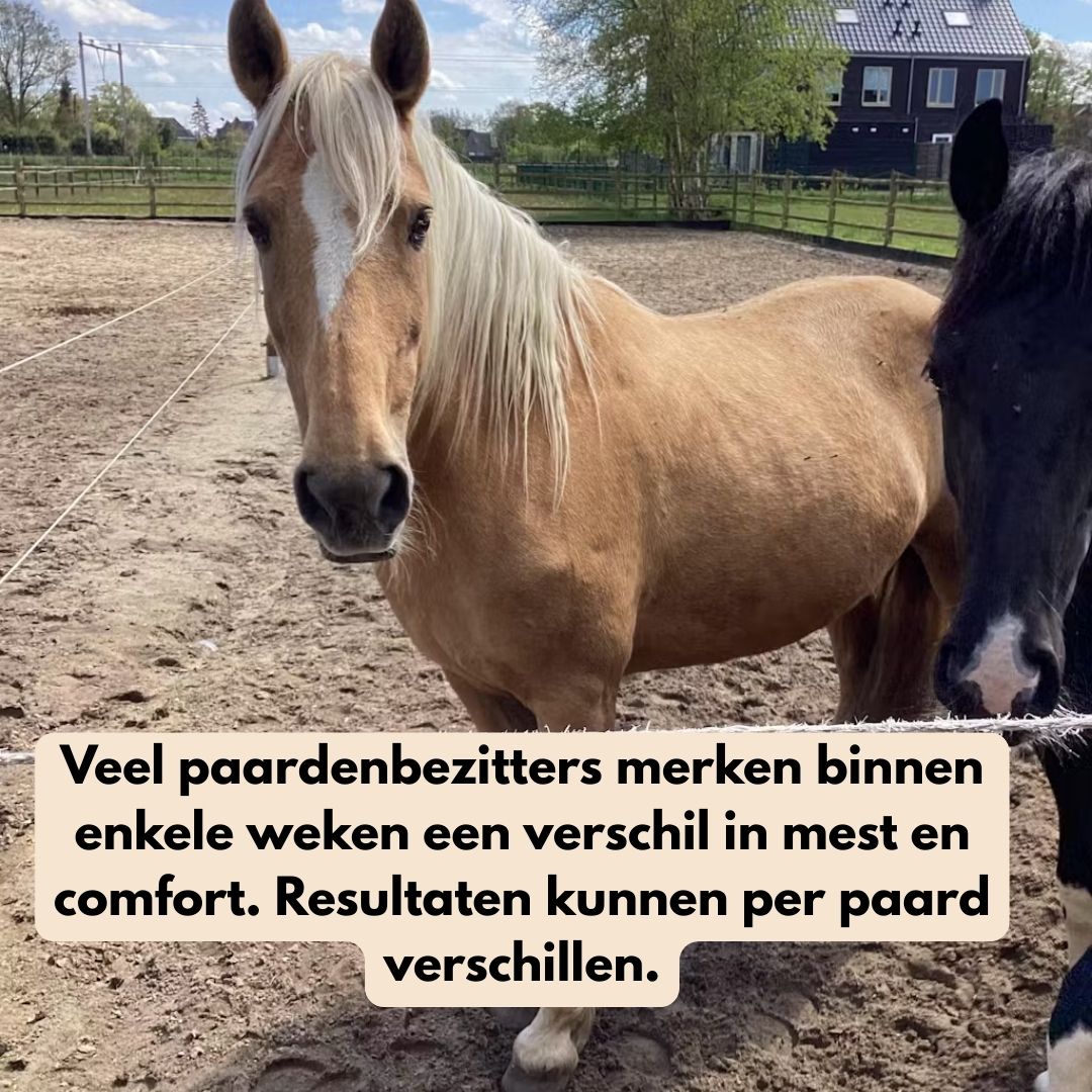 GastriPro | Voor gezonde maag en darmen.