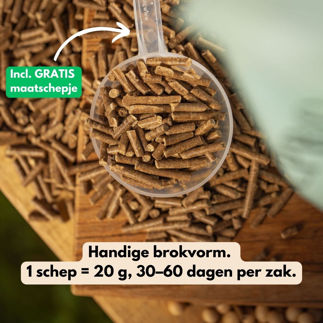 GastriPro | Voor gezonde maag en darmen.