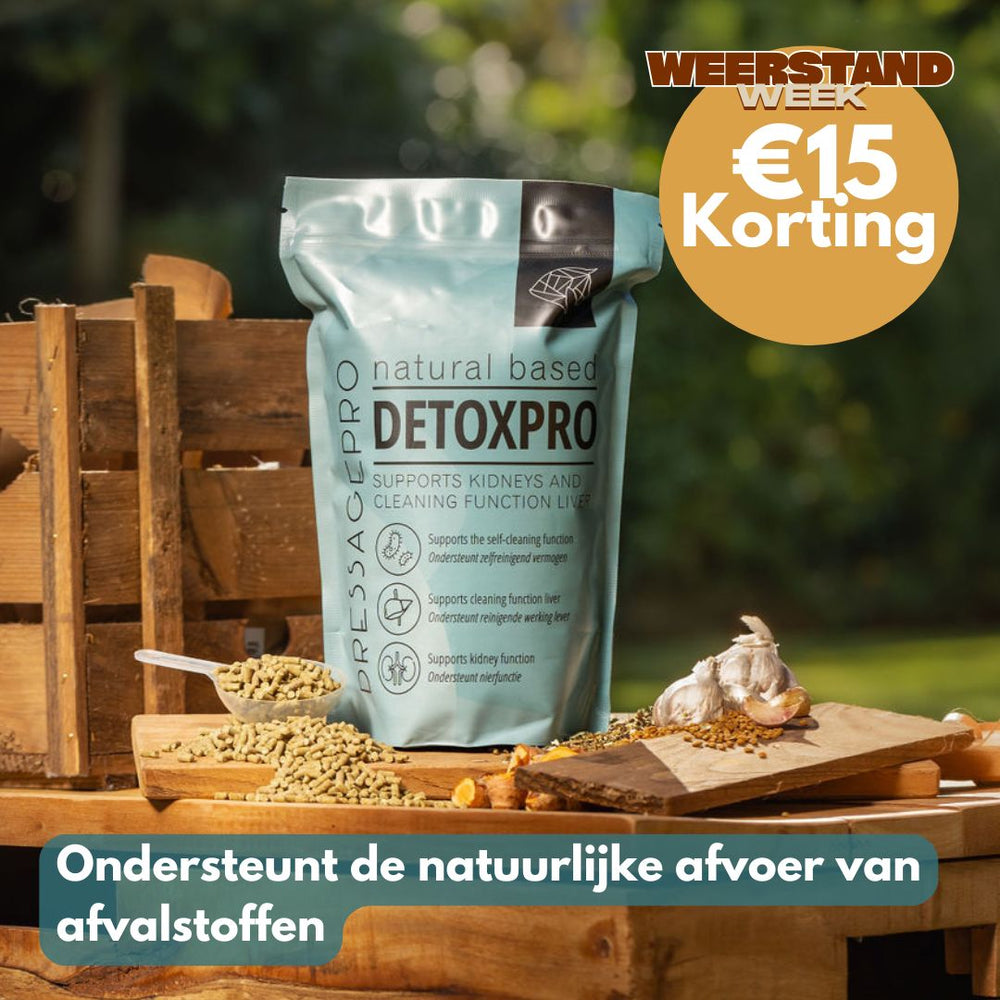
                  
                    DetoxPro | Ondersteunt lever & afvoer van afvalstoffen [15-daagse kuur]
                  
                